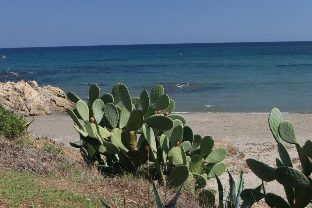 Residence Il Borgo Di Porto Corallo Villaputzu Exteriör bild
